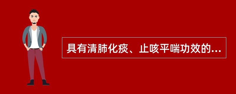 具有清肺化痰、止咳平喘功效的药物是()