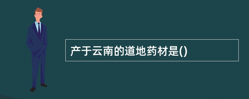 产于云南的道地药材是()