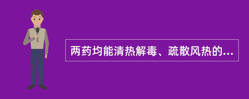 两药均能清热解毒、疏散风热的药组是()