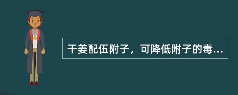 干姜配伍附子，可降低附子的毒性，属于：()