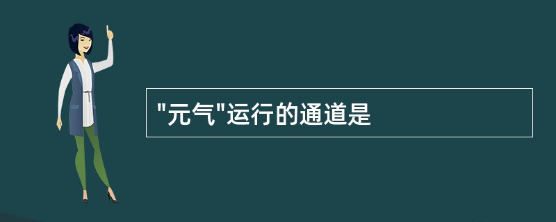 "元气"运行的通道是