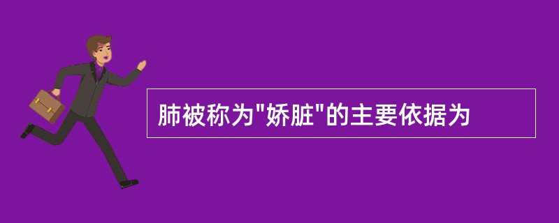 肺被称为"娇脏"的主要依据为