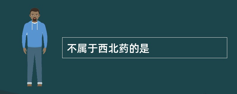 不属于西北药的是