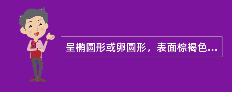 呈椭圆形或卵圆形，表面棕褐色，密生刺状突起，气芳香而浓烈，味辛凉、微苦的药材是