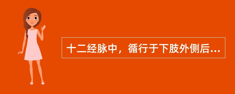 十二经脉中，循行于下肢外侧后缘的是（）。