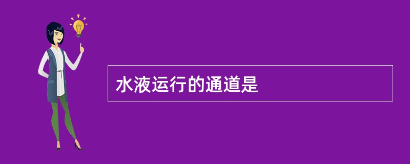 水液运行的通道是