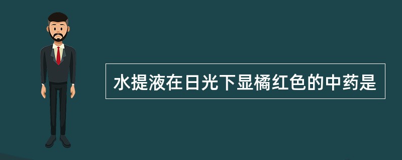 水提液在日光下显橘红色的中药是