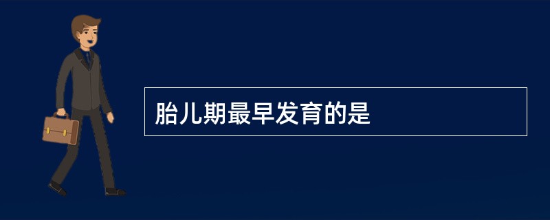 胎儿期最早发育的是