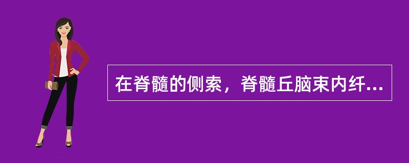 在脊髓的侧索，脊髓丘脑束内纤维排列从内至外