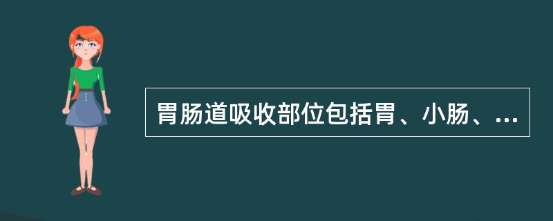 胃肠道吸收部位包括胃、小肠、大肠，其中以小肠吸收最为重要。<br />口服剂型在胃肠道中吸收的快慢顺序一般为