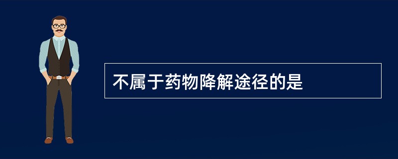 不属于药物降解途径的是