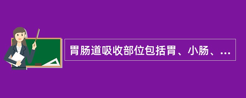 胃肠道吸收部位包括胃、小肠、大肠，其中以小肠吸收最为重要。<br />药物口服后的主要吸收部位是
