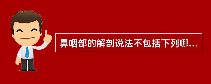 鼻咽部的解剖说法不包括下列哪项()