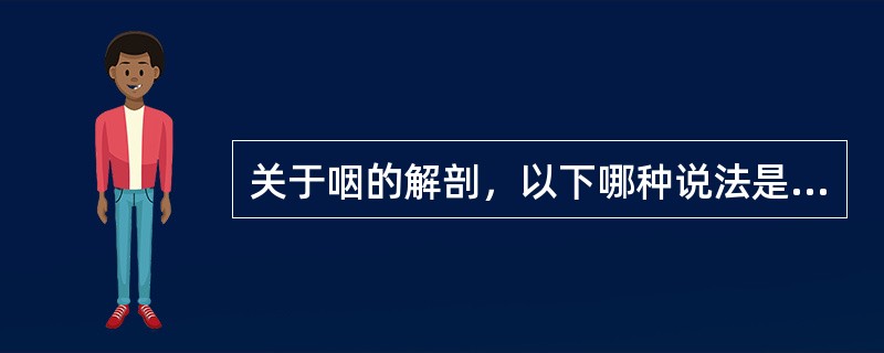 关于咽的解剖，以下哪种说法是错误的