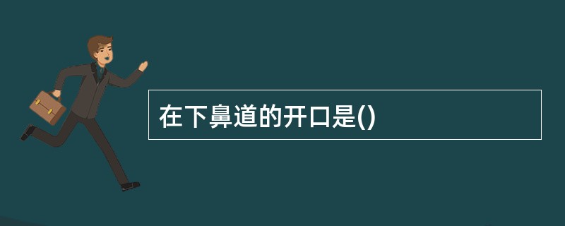 在下鼻道的开口是()
