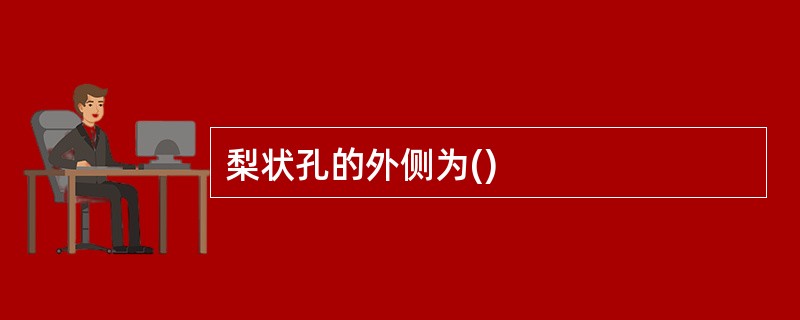 梨状孔的外侧为()
