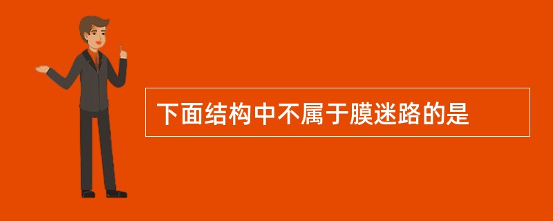 下面结构中不属于膜迷路的是