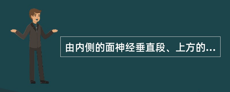 由内侧的面神经垂直段、上方的砧骨窝及外侧的鼓索神经所构成的解剖结构是()
