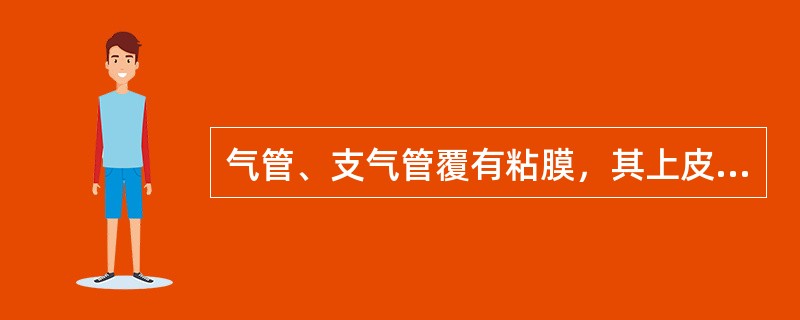 气管、支气管覆有粘膜，其上皮成分为()