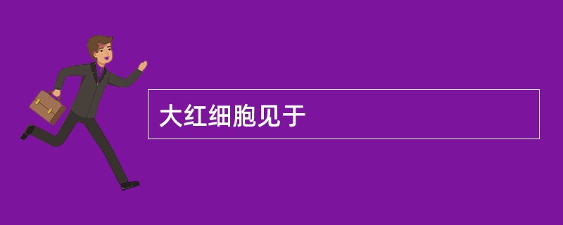 大红细胞见于