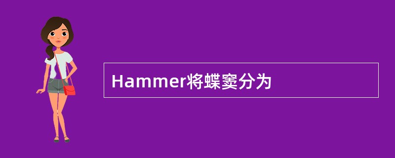 Hammer将蝶窦分为