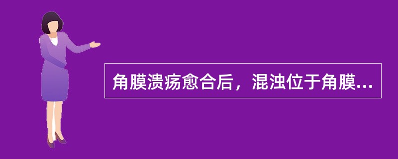 角膜溃疡愈合后，混浊位于角膜基质深层，呈灰白色，边界较清楚，可透见下方的虹膜，但不能看清虹膜纹理，属于何种瘢痕性角膜混浊()