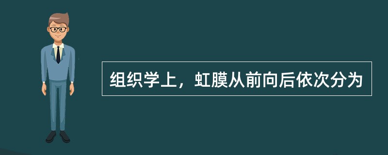 组织学上，虹膜从前向后依次分为