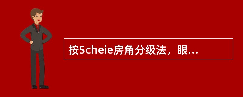 按Scheie房角分级法，眼球处于静态观察时，仅能见到巩膜突与小梁网，其房角为()