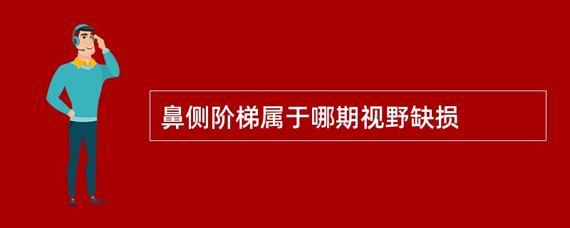 鼻侧阶梯属于哪期视野缺损