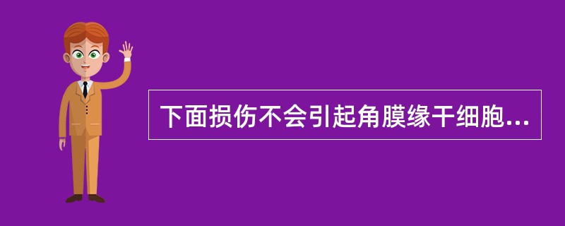 下面损伤不会引起角膜缘干细胞缺乏的是