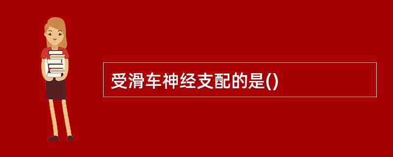 受滑车神经支配的是()