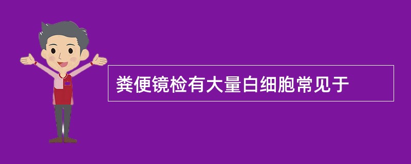 粪便镜检有大量白细胞常见于