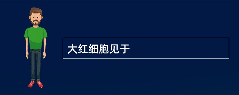 大红细胞见于