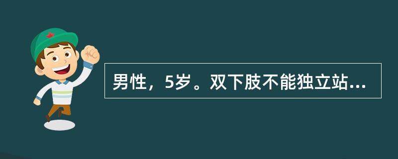 男性，5岁。双下肢不能独立站立来诊。出生时产程较长，体重5kg，生后较同龄儿发育晚。最可能的诊断是