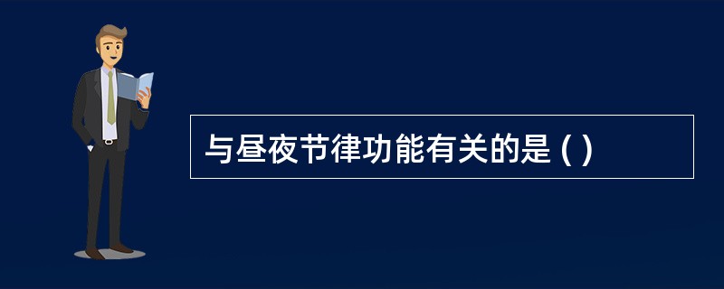 与昼夜节律功能有关的是 ( )