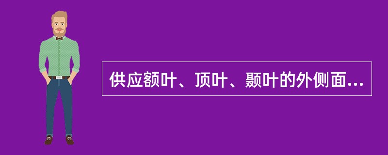 供应额叶、顶叶、颞叶的外侧面和岛叶，内囊膝部和后肢前2/3，壳核，苍白球和尾状核的动脉为 ( )