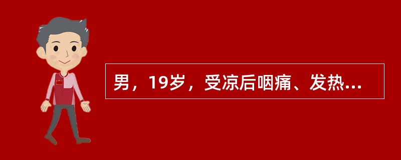 男，19岁，受凉后咽痛、发热、咳嗽，1周后出现颜面及下肢水肿，查尿蛋白(+)，尿红细胞(++)。最可能的诊断是