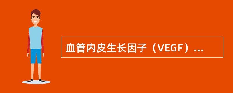 血管内皮生长因子（VEGF）的生物学功能包括