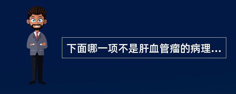 下面哪一项不是肝血管瘤的病理分型