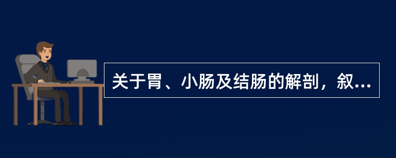 关于胃、小肠及结肠的解剖，叙述正确的有