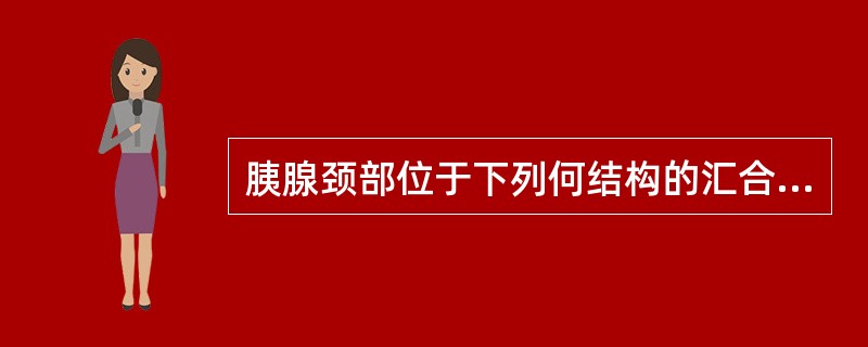 胰腺颈部位于下列何结构的汇合处：