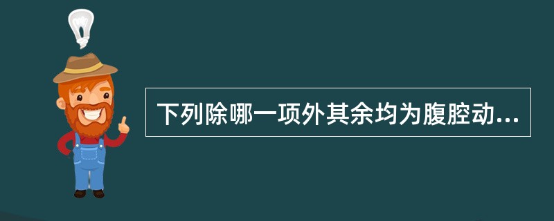 下列除哪一项外其余均为腹腔动脉的分支：