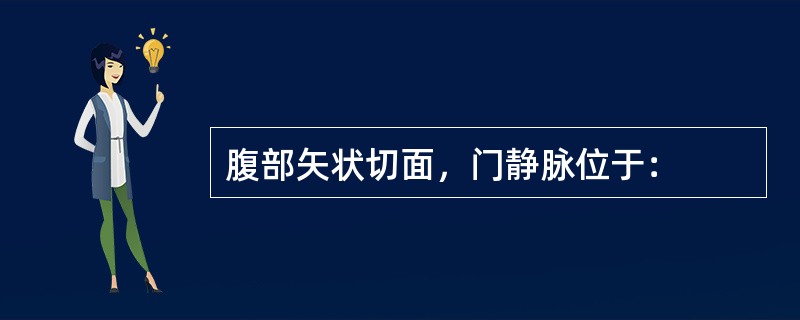 腹部矢状切面，门静脉位于：