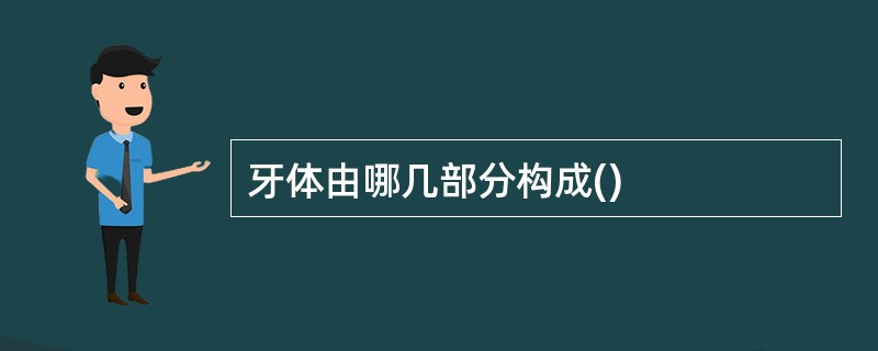 牙体由哪几部分构成()