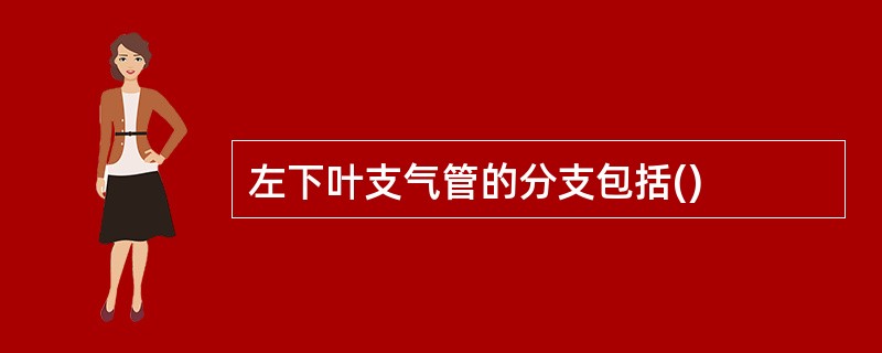 左下叶支气管的分支包括()