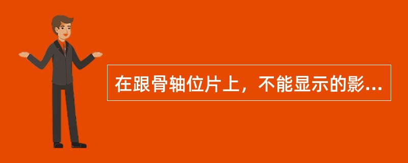 在跟骨轴位片上，不能显示的影像是