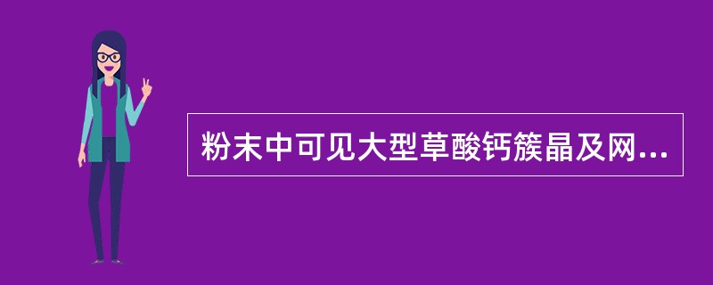 粉末中可见大型草酸钙簇晶及网纹导管的药材是