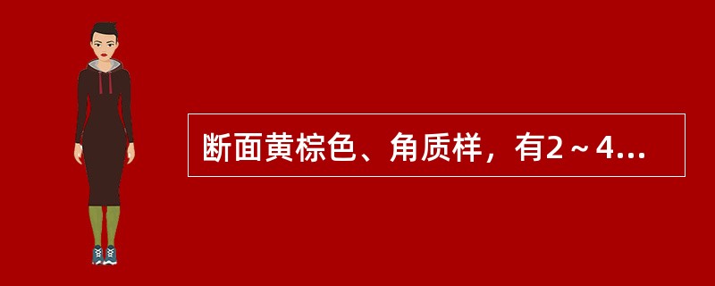 断面黄棕色、角质样，有2～4轮黄白色小点，中央有黄白色木心的药材是