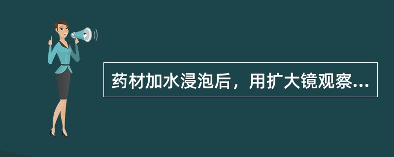 药材加水浸泡后，用扩大镜观察，可见透明状黏液层的是