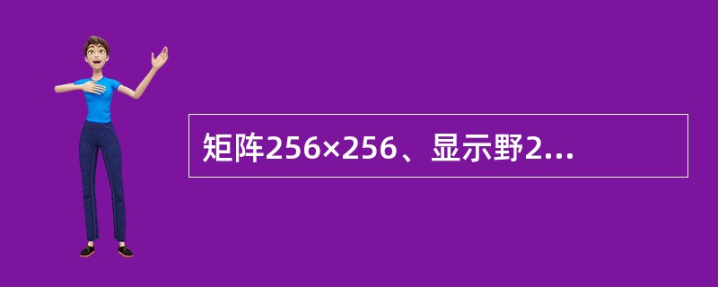 矩阵256×256、显示野20cm与矩阵512×512、显示野10cm，两种图像的像素大小()